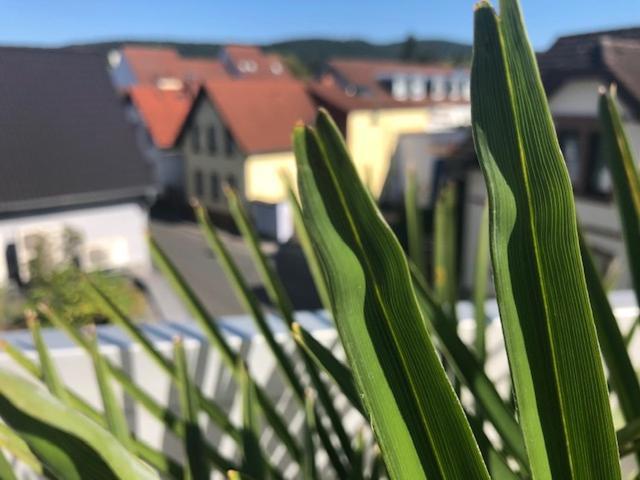 Wohnen Beim Brotsommelier - Alpenkruste Apartment Дармщат Екстериор снимка